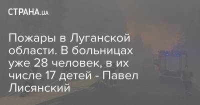 Пожары в Луганской области. В больницах уже 28 человек, в их числе 17 детей - Павел Лисянский