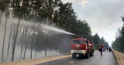 Масштабный пожар в Луганской области: самолеты с водой не летят, потому что боевики не гарантируют вести режим тишины