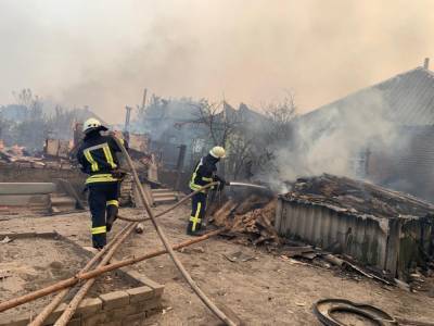 На Луганщине продолжается ликвидация смертоносного лесного пожара и его последствий