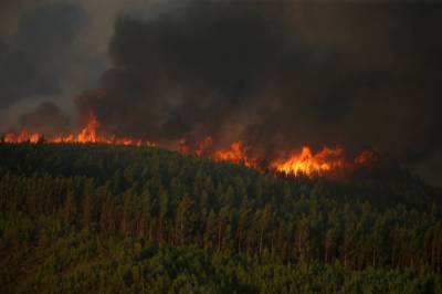 В Бурятии горят леса