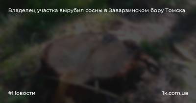Владелец участка вырубил сосны в Заварзинском бору Томска