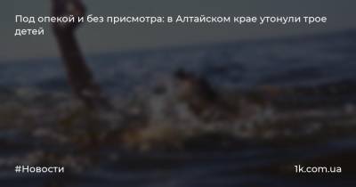 Под опекой и без присмотра: в Алтайском крае утонули трое детей