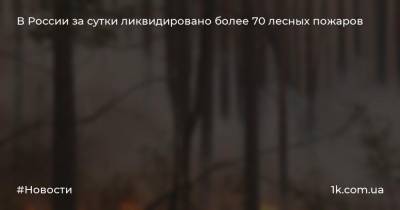 В России за сутки ликвидировано более 70 лесных пожаров