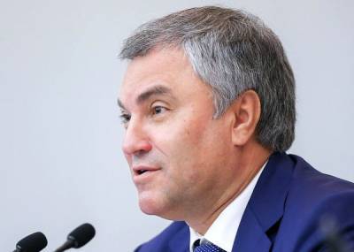 Володин назвал решение ЕСПЧ по делу депутата Рашкина политическим и ангажированным