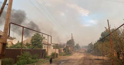 В Луганской области до сих пор горит лес рядом с тремя селами: огонь уничтожил больше сотни жилых и дачных домов