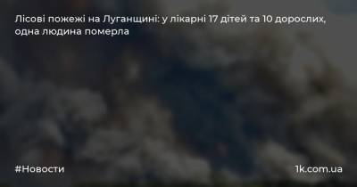 Лісові пожежі на Луганщині: у лікарні 17 дітей та 10 дорослих, одна людина померла