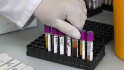 В России проведено более 21,7 млн тестов на коронавирус