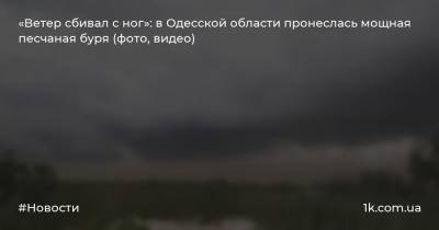 «Ветер сбивал с ног»: в Одесской области пронеслась мощная песчаная буря (фото, видео)