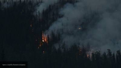 Лесной пожар унес жизни девяти человек в Луганской области