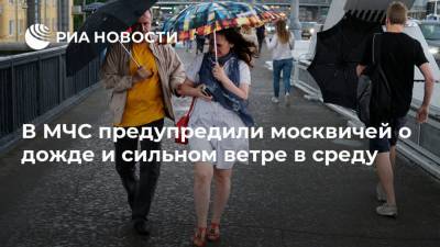 В МЧС предупредили москвичей о дожде и сильном ветре в среду