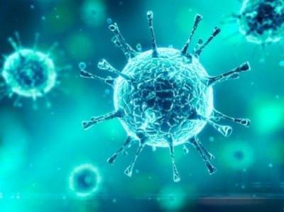В Болгарии зафиксирован рекордный суточный прирост заразившихся коронавирусом