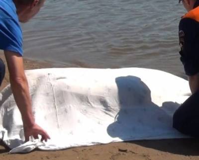 На севере Ульяновска в Свияге утонул мужчина