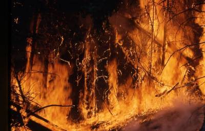 Более чем в два раза увеличилось количество пожароопасных районов в Нижегородской области