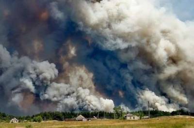 Пожары на Луганщине — сгорело более ста домов, погибло не менее 5 человек