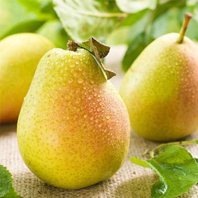 Самый полезный летний фрукт для здоровья внутренних органов