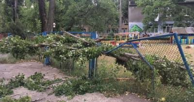 Непогода в Одессе: дерево травмировало мужчину