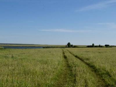 «Таврос» без торгов получит 29 гектаров земли в Белебеевском районе