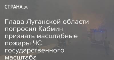 Глава Луганской области попросил Кабмин признать масштабные пожары ЧС государственного масштаба