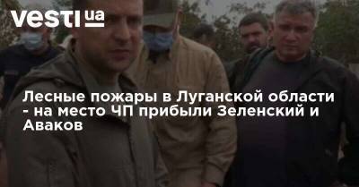 Лесные пожары в Луганской области - на место ЧП прибыли Зеленский и Аваков