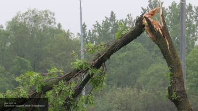 Видео с сорвавшим крыши домов ураганным ветром в Саратове появилось в Сети