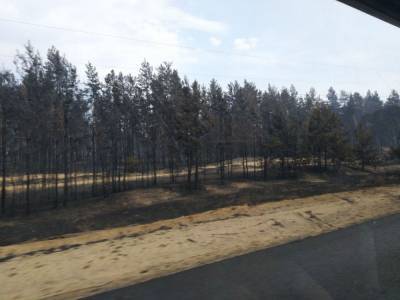 На Луганщине в связи с массовыми лесными пожарами ожидают приезда президента Зеленского