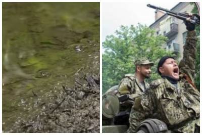 Донбасс сотрясло экологическое бедствие из-за боевиков: "стали стремительно..."