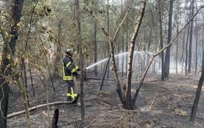 Пожары на Луганщине: рассматривают три версии