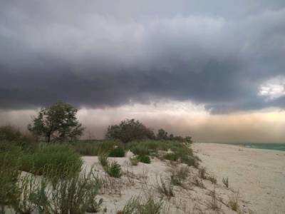 «Сначала были красивые дождевые тучи»: В Одесской области произошла песчаная буря