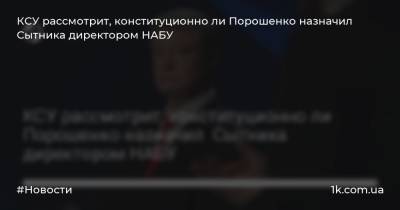 КСУ рассмотрит, конституционно ли Порошенко назначил Сытника директором НАБУ