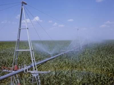 Украинское государство подняло цены на воду для орошения: это «убивает» сельское хозяйство – аграрий