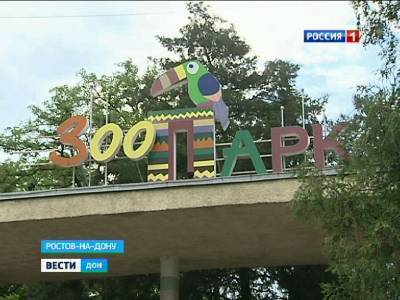 Зоопарк Ростова открыли после трех месяцев карантина: как животные реагируют на посетителей?