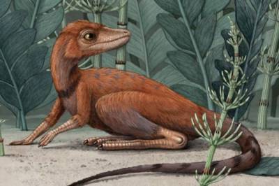Они могли быть крошечными: На Мадагаскаре нашли останки предка динозавров