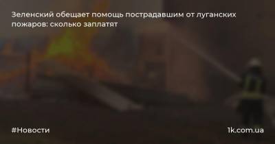 Зеленский обещает помощь пострадавшим от луганских пожаров: сколько заплатят