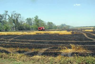 В ОРДО сильный пожар уничтожил поля с зерновыми