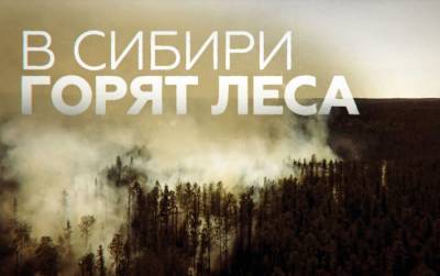 Сибирь и Дальний Восток охвачены лесными пожарами - видео