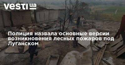 Полиция назвала основные версии возникновения лесных пожаров под Луганском