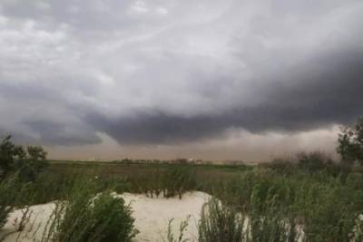 В Одесской области мощную песчаную бурю сняли на видео