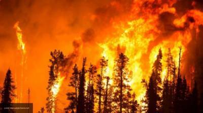 Зеленский прибыл в охваченный лесными пожарами Донбасс