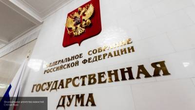 Госдума обсудит случаи вмешательства в голосование по поправкам к Конституции РФ