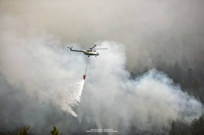 Лесной пожар в Сванетии частично локализован