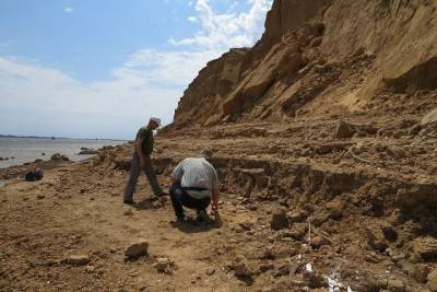 В Астраханской области обнаружили останки древнего мамонта