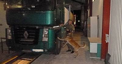 В Советске служебная собака нашла в кабине дальнобойщика 980 пачек нелегальных сигарет (фото)