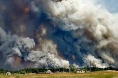 В Луганской области возросло число пострадавших из-за лесных пожаров