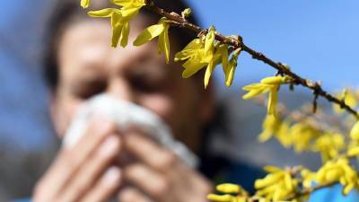 Эксперты рассказали о влиянии аллергии на течение COVID-19
