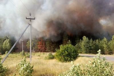Лесными пожарами в Воронежской области занялась прокуратура