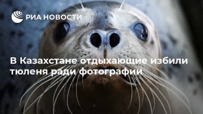 В Казахстане отдыхающие избили тюленя ради фотографии
