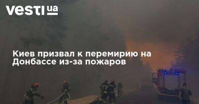 Киев призвал к перемирию на Донбассе из-за пожаров