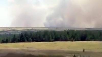Пожар на пшеничном поле в Волгоградской области перекинулся на частные дома