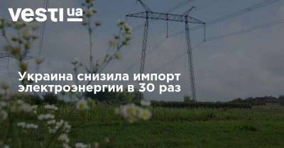 Украина снизила импорт электроэнергии в 30 раз