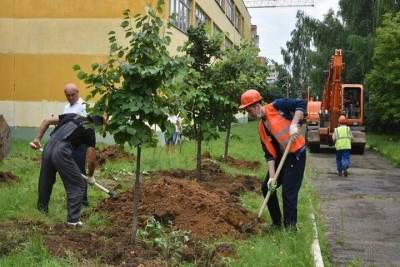 Двадцать лип пересадили в Серпухове на новое место